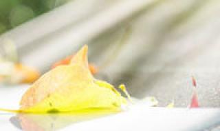 天使公主pk恶魔王子